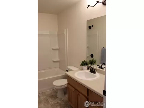 2137 Day Spring Dr, Windsor, CO 80550 photo 21