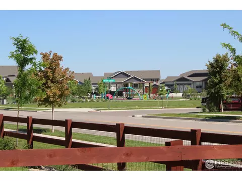 2137 Day Spring Dr, Windsor, CO 80550 photo 35