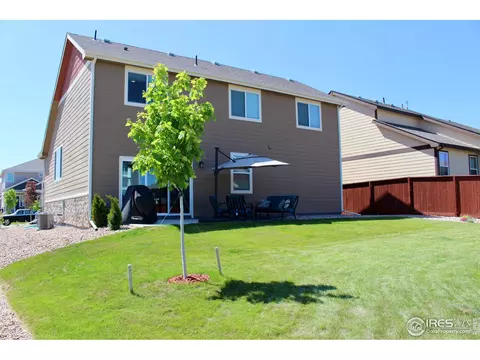 2137 Day Spring Dr, Windsor, CO 80550 photo 28