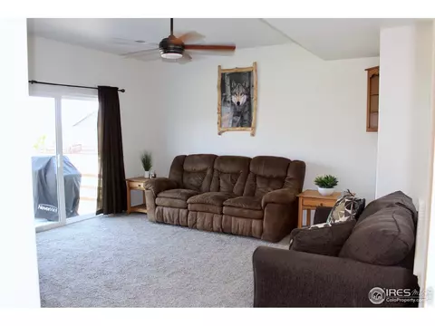 2137 Day Spring Dr, Windsor, CO 80550 photo 10