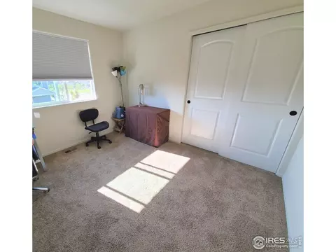 2137 Day Spring Dr, Windsor, CO 80550 photo 20