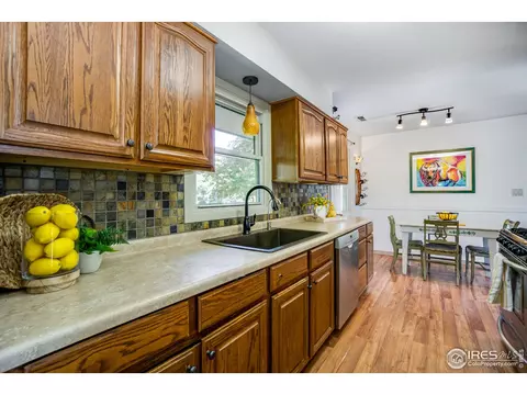 4601 Moccasin Cir, Laporte, CO 80535 photo 12