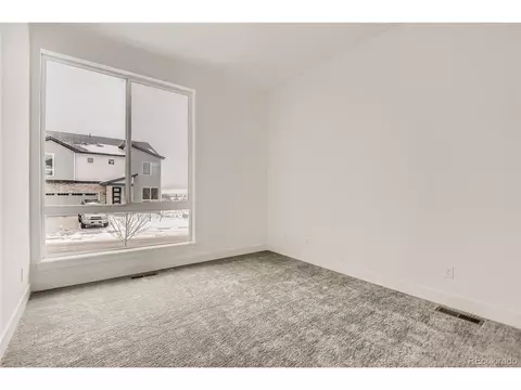 544 Simmental Loop, Castle Rock, CO 80104 photo 14