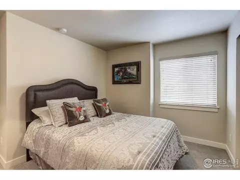 218 E Chestnut St #1, Windsor, CO 80550 photo 23