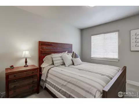 218 E Chestnut St #1, Windsor, CO 80550 photo 20