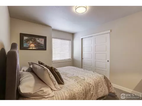 218 E Chestnut St #1, Windsor, CO 80550 photo 22