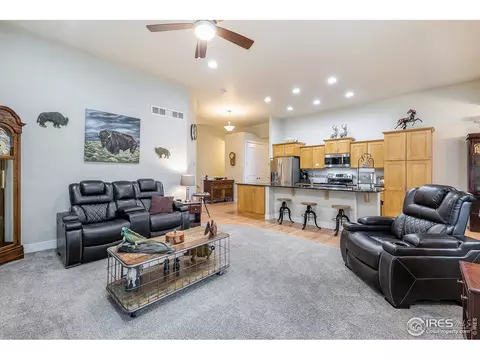 933 Mt Andrew Dr, Windsor, CO 80550 photo 9