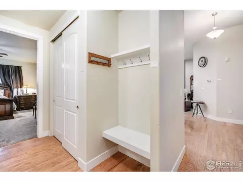 933 Mt Andrew Dr, Windsor, CO 80550 photo 22