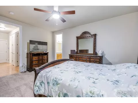 933 Mt Andrew Dr, Windsor, CO 80550 photo 27