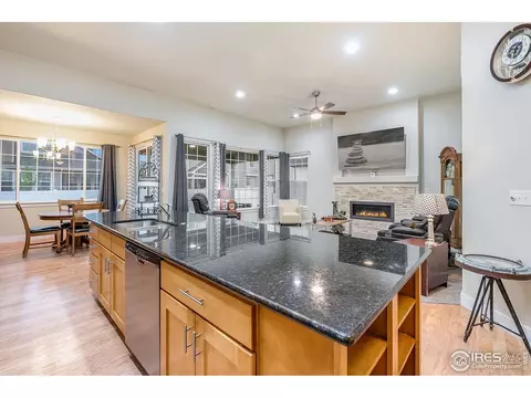 933 Mt Andrew Dr, Windsor, CO 80550 photo 18