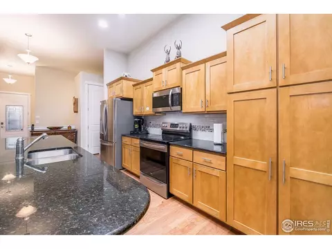 933 Mt Andrew Dr, Windsor, CO 80550 photo 17