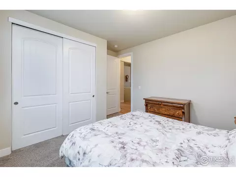 933 Mt Andrew Dr, Windsor, CO 80550 photo 33
