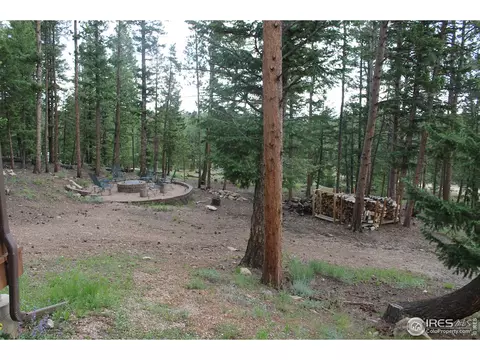 1408 Tesuque Trl, Red Feather Lakes, CO 80545 photo 22