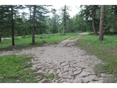 1408 Tesuque Trl, Red Feather Lakes, CO 80545 photo 21