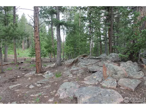 1408 Tesuque Trl, Red Feather Lakes, CO 80545 photo 26