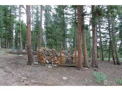 1408 Tesuque Trl, Red Feather Lakes, CO 80545 photo 23