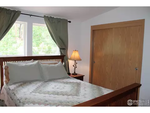 1408 Tesuque Trl, Red Feather Lakes, CO 80545 photo 11