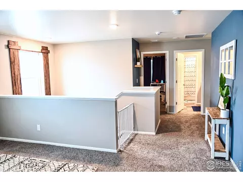 1981 Floret Dr, Windsor, CO 80550 photo 20