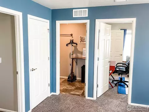 1981 Floret Dr, Windsor, CO 80550 photo 22