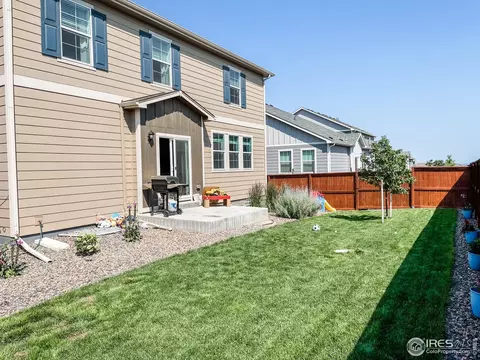 1981 Floret Dr, Windsor, CO 80550 photo 29