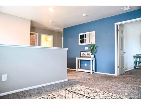 1981 Floret Dr, Windsor, CO 80550 photo 21