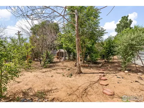 213 Jackson Ave, Firestone, CO 80520 photo 21