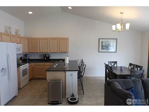 901 Mt Shavano Ave, Severance, CO 80550 photo 8