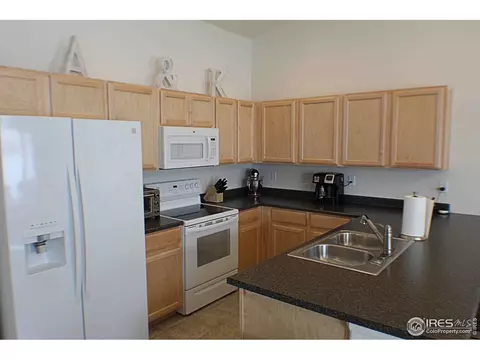 901 Mt Shavano Ave, Severance, CO 80550 photo 9