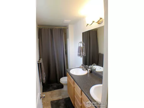 901 Mt Shavano Ave, Severance, CO 80550 photo 13