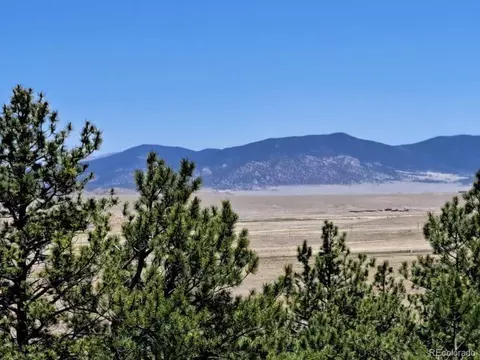 550 Woroka Trl, Hartsel, CO 80449