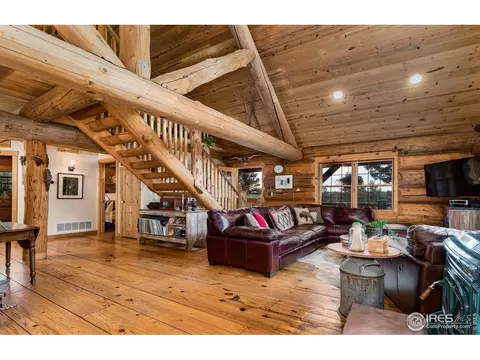 54 Lynx Dr, Ward, CO 80481 photo 9