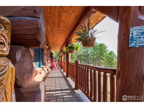 54 Lynx Dr, Ward, CO 80481 photo 29