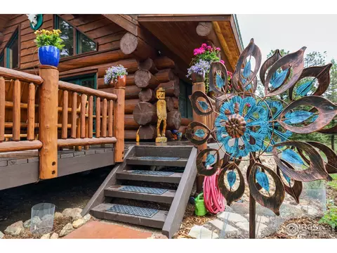 54 Lynx Dr, Ward, CO 80481 photo 27