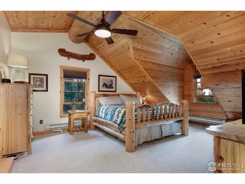 54 Lynx Dr, Ward, CO 80481 photo 17