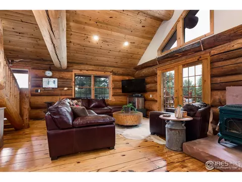 54 Lynx Dr, Ward, CO 80481 photo 10