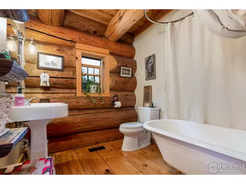 54 Lynx Dr, Ward, CO 80481 photo 22