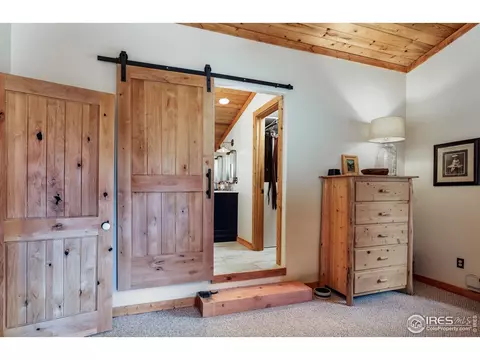 54 Lynx Dr, Ward, CO 80481 photo 18