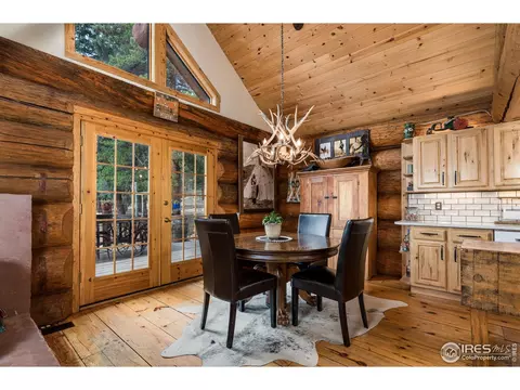 54 Lynx Dr, Ward, CO 80481 photo 11
