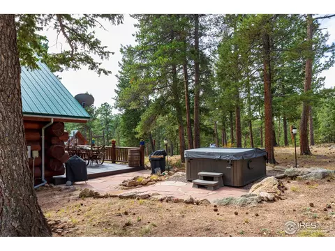 54 Lynx Dr, Ward, CO 80481 photo 37