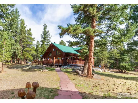 54 Lynx Dr, Ward, CO 80481 photo 4
