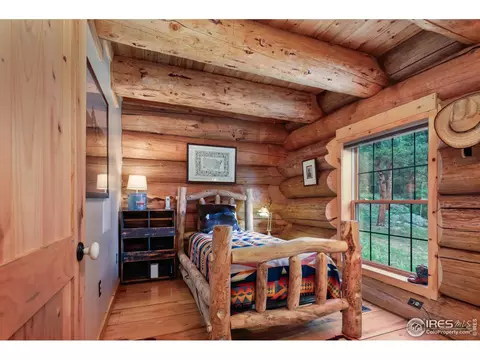 54 Lynx Dr, Ward, CO 80481 photo 24