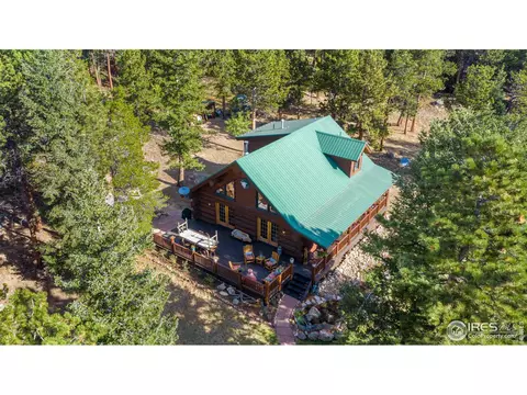 54 Lynx Dr, Ward, CO 80481 photo 6