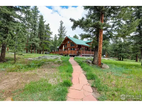 54 Lynx Dr, Ward, CO 80481 photo 5