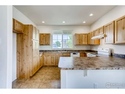 389 Shadowbrook Dr, Windsor, CO 80550 photo 11