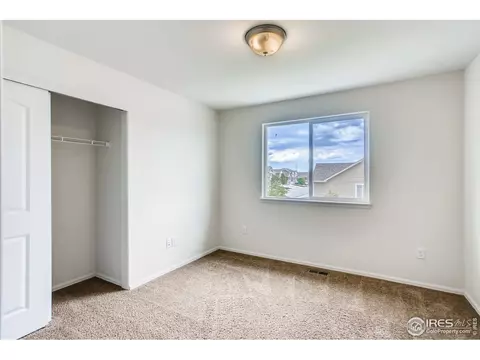 389 Shadowbrook Dr, Windsor, CO 80550 photo 26