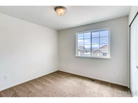 389 Shadowbrook Dr, Windsor, CO 80550 photo 25