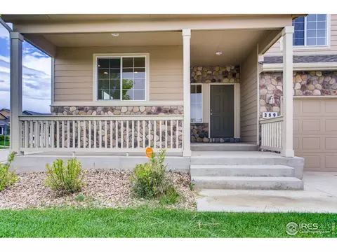 389 Shadowbrook Dr, Windsor, CO 80550 photo 5