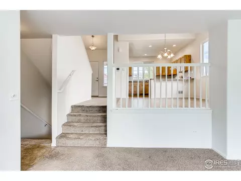 389 Shadowbrook Dr, Windsor, CO 80550 photo 10