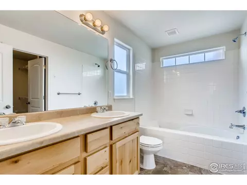 389 Shadowbrook Dr, Windsor, CO 80550 photo 20