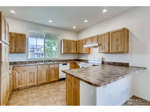 389 Shadowbrook Dr, Windsor, CO 80550 photo 12